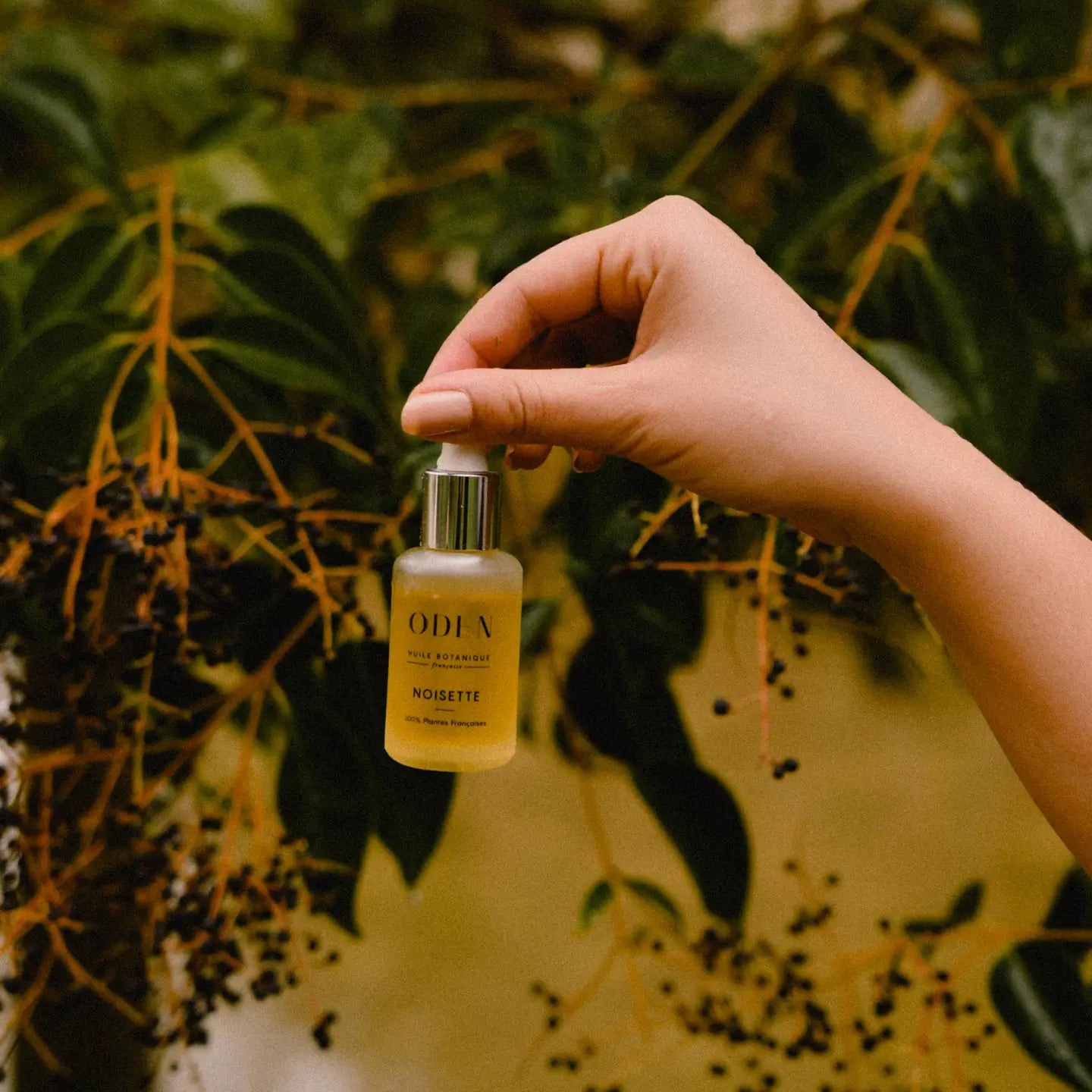 Lazdyno Riešutų Veido Aliejus – Reguliuoja ir Balansuoja Mišrią Odą 30ml